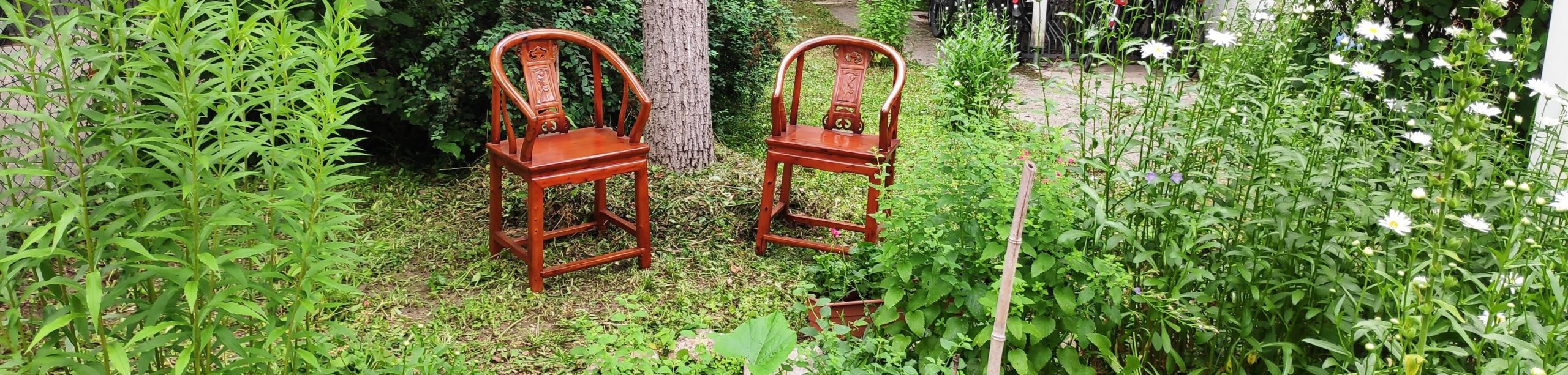 gestalttherapie Frankfurt